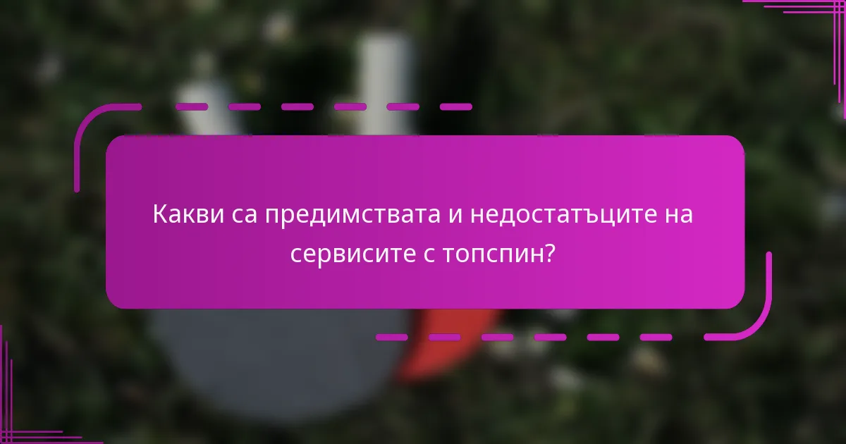 Какви са предимствата и недостатъците на сервисите с топспин?
